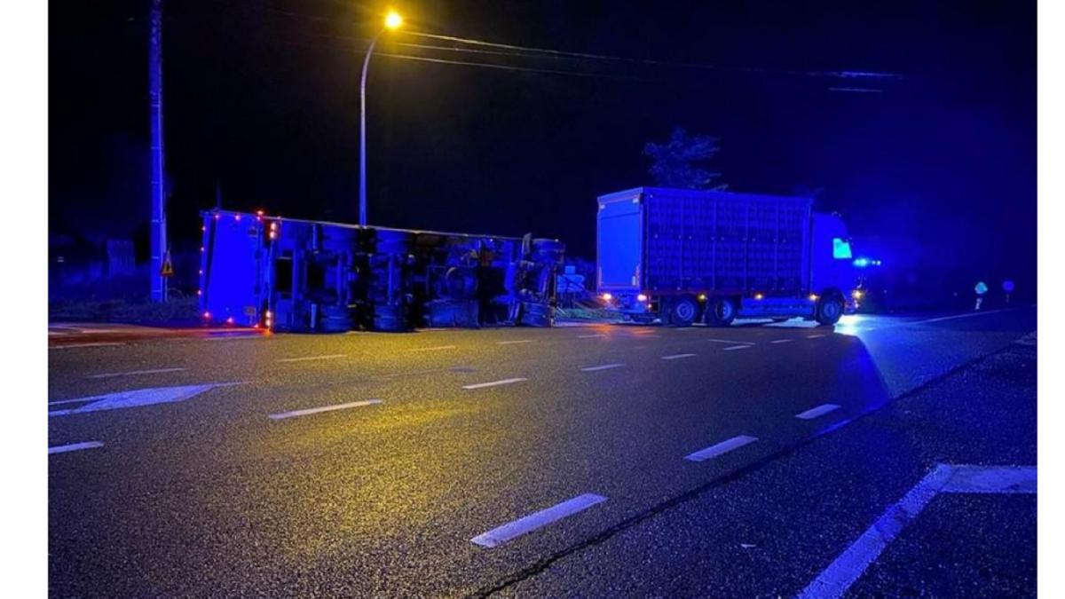 belgia--un-sofer-roman-de-tir-s-a-rasturnat-cu-mastodontul-in-drum-spre-abator--avea-in-remorca-6-000-de-gaini