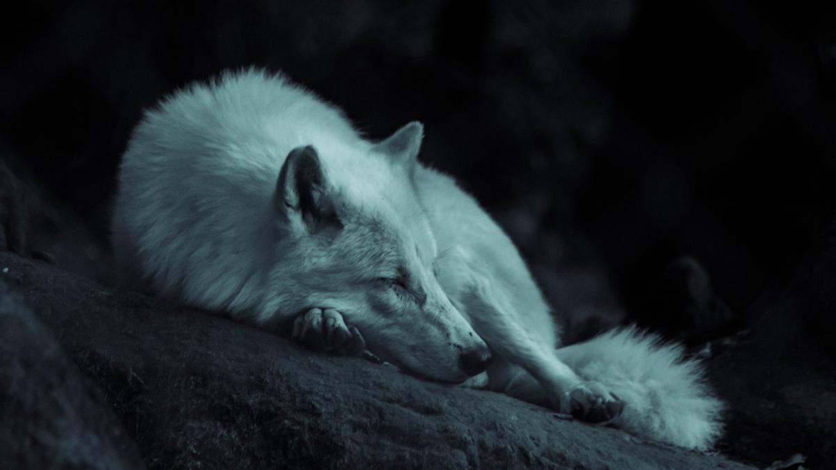 gregoire-bertaud-wk_dzlajj_q-unsplash