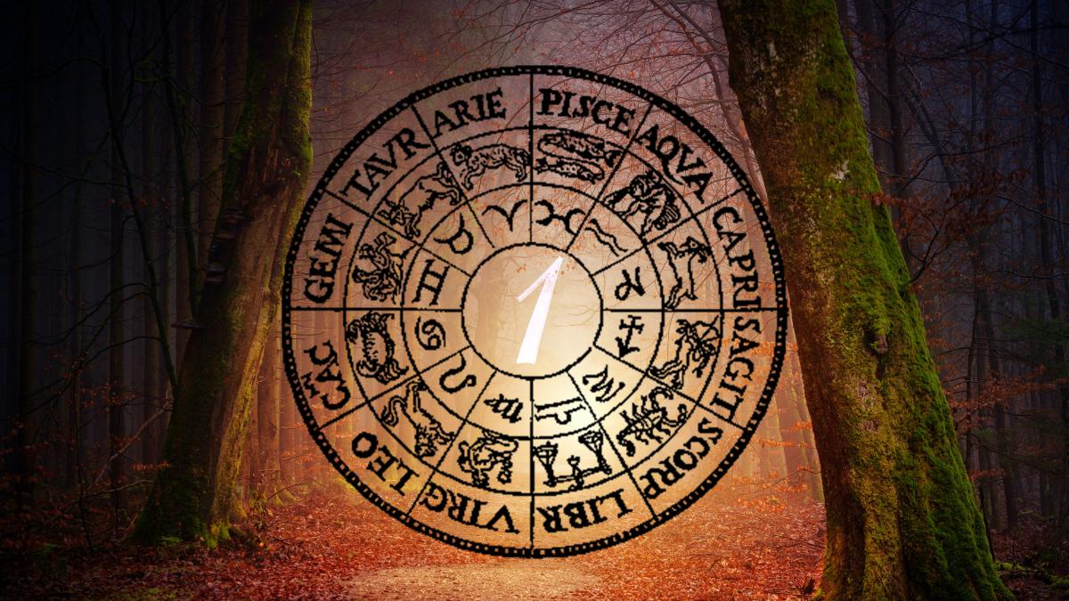 johannes-plenio-1vzlw-ihjam-unsplash