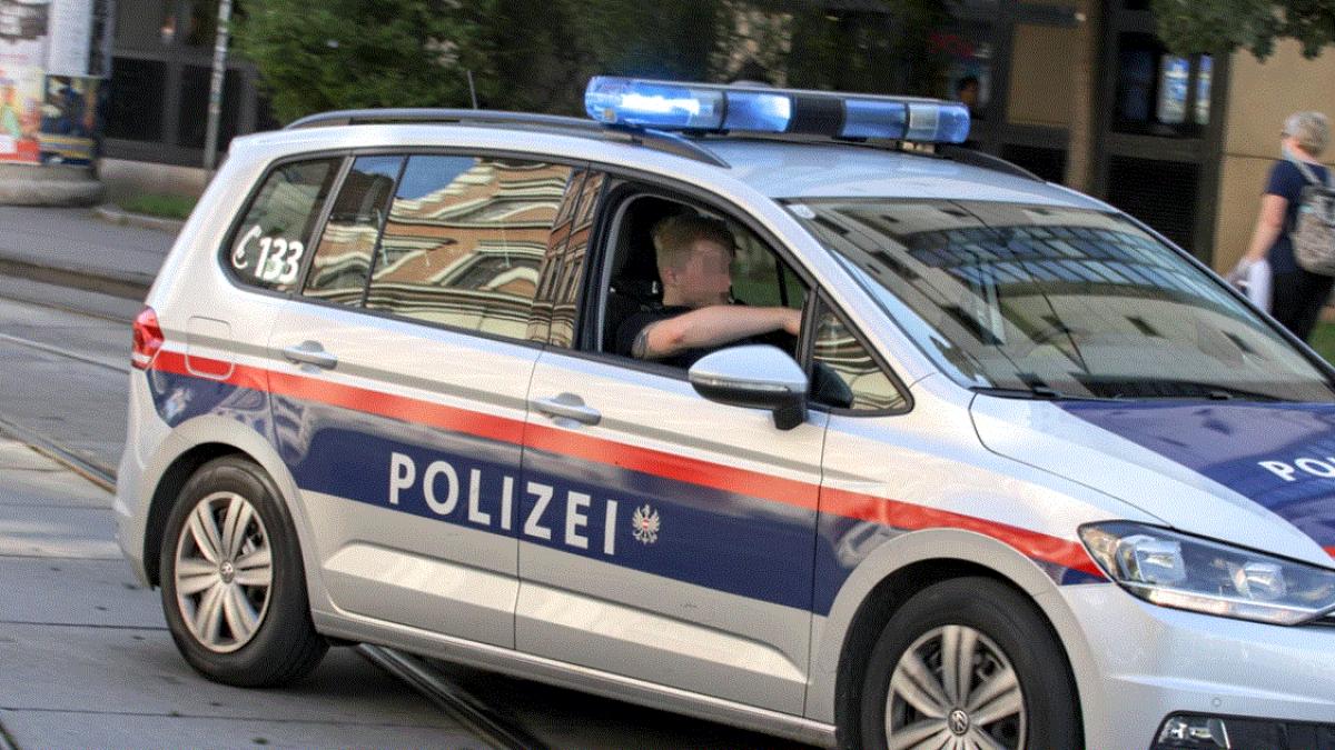 austria--un-roman-a-furat-o-autoutilitara--incarcata-cu-pizza--si-a-provocat-un-accident-rutier