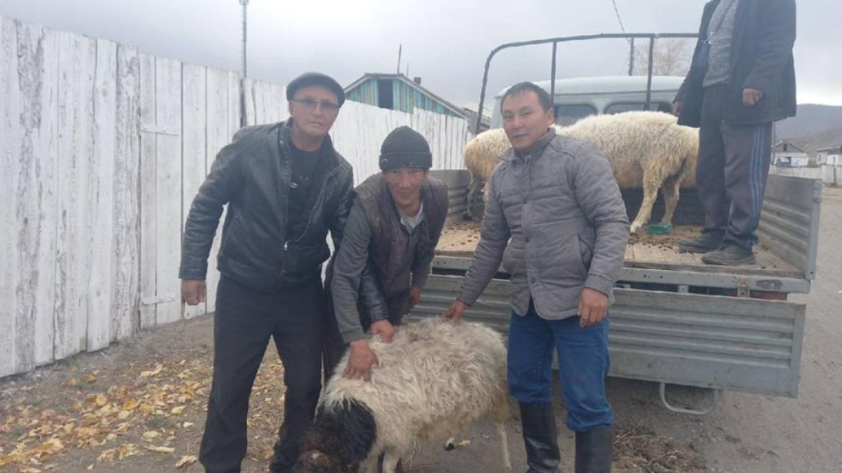 regiune-rusia-o-oaie-familiilor-celor-mobilizati-razboi