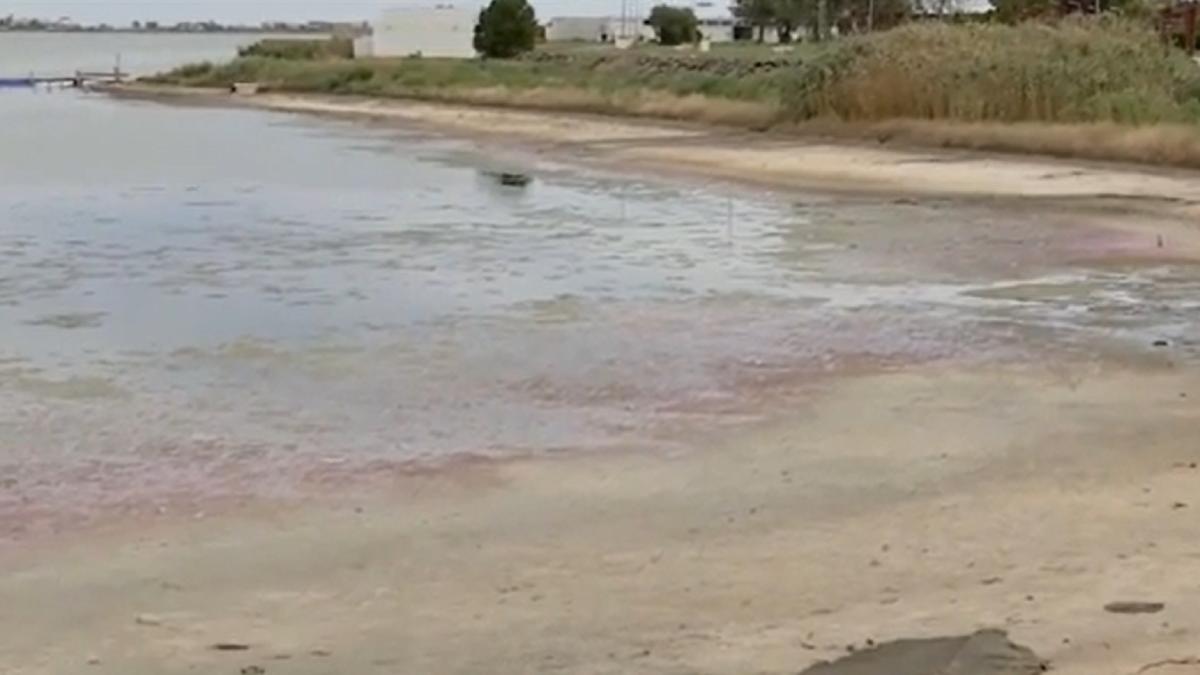 apele-secate-ale-unui-lac-din-romania-dezvaluie-o-adevarata-comoara--canicula-a-facutprc-c2prc-a0aurul-negru-siprc-c2prc-a0mai-bun