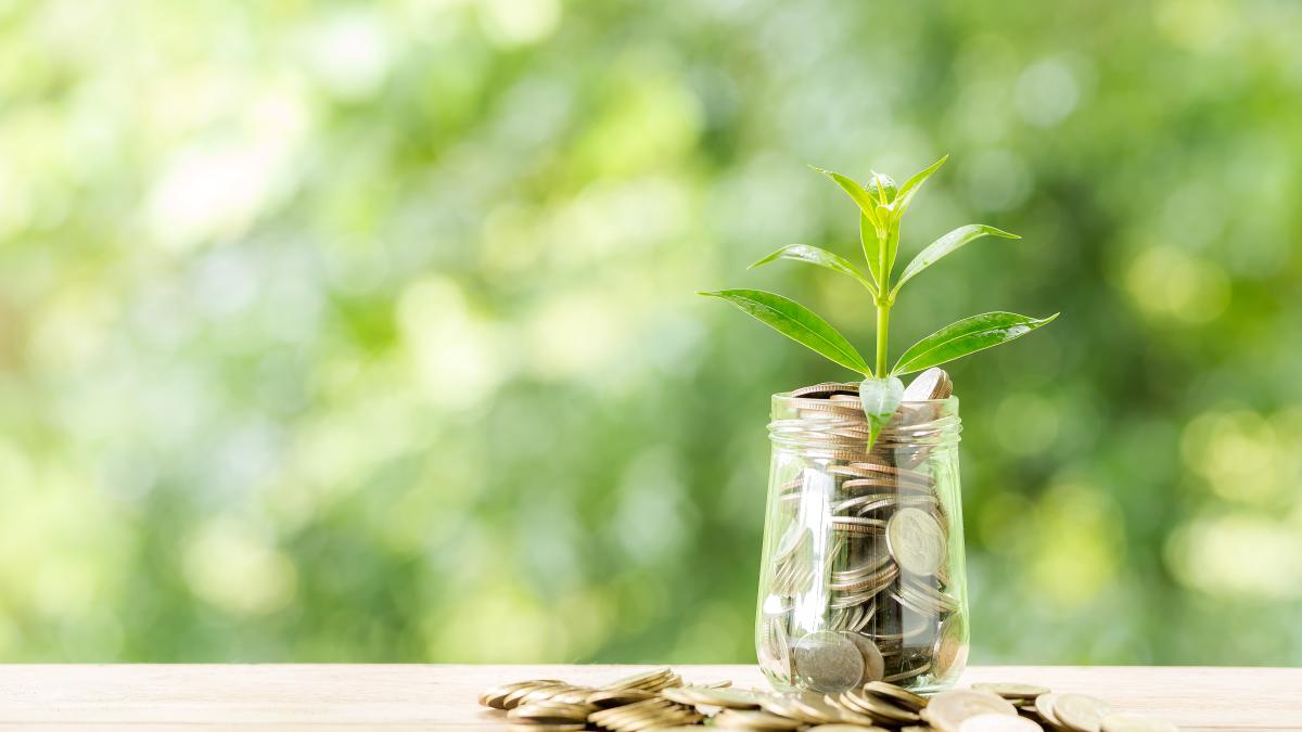 kakebo--trucul-japonez-de-a-ti-imbunatati-finantele--o-metoda-straveche-care-te-va-ajuta-sa-economisesti-bani