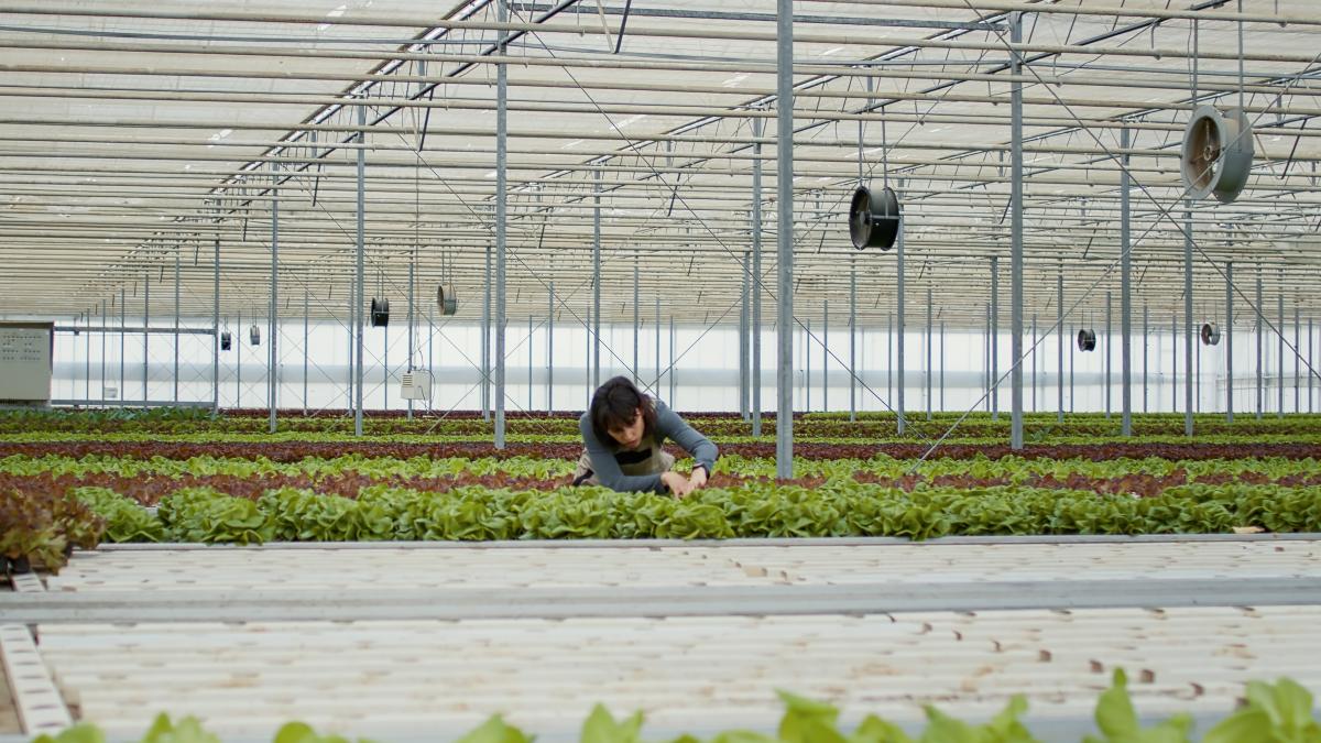 o-diferenta-de-4-5-euro-pe-ora--romanii-nu-mai-merg-in-spania-sau-italia--s-au-schimbat-preferintele-tarile-aflate-in-top