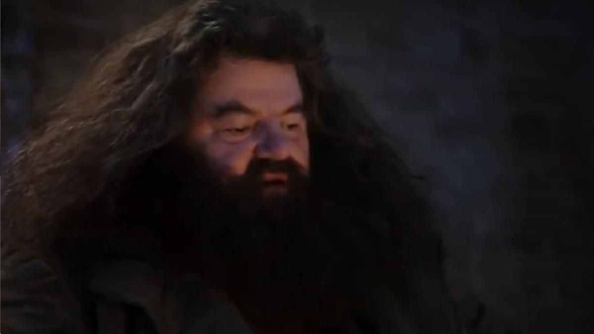 robbie-coltrane-hagrid