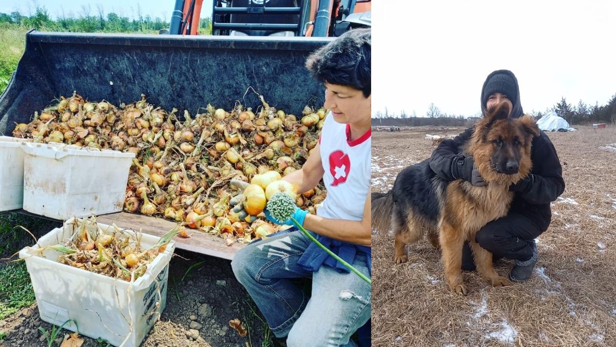 lavinia-ilies-canada