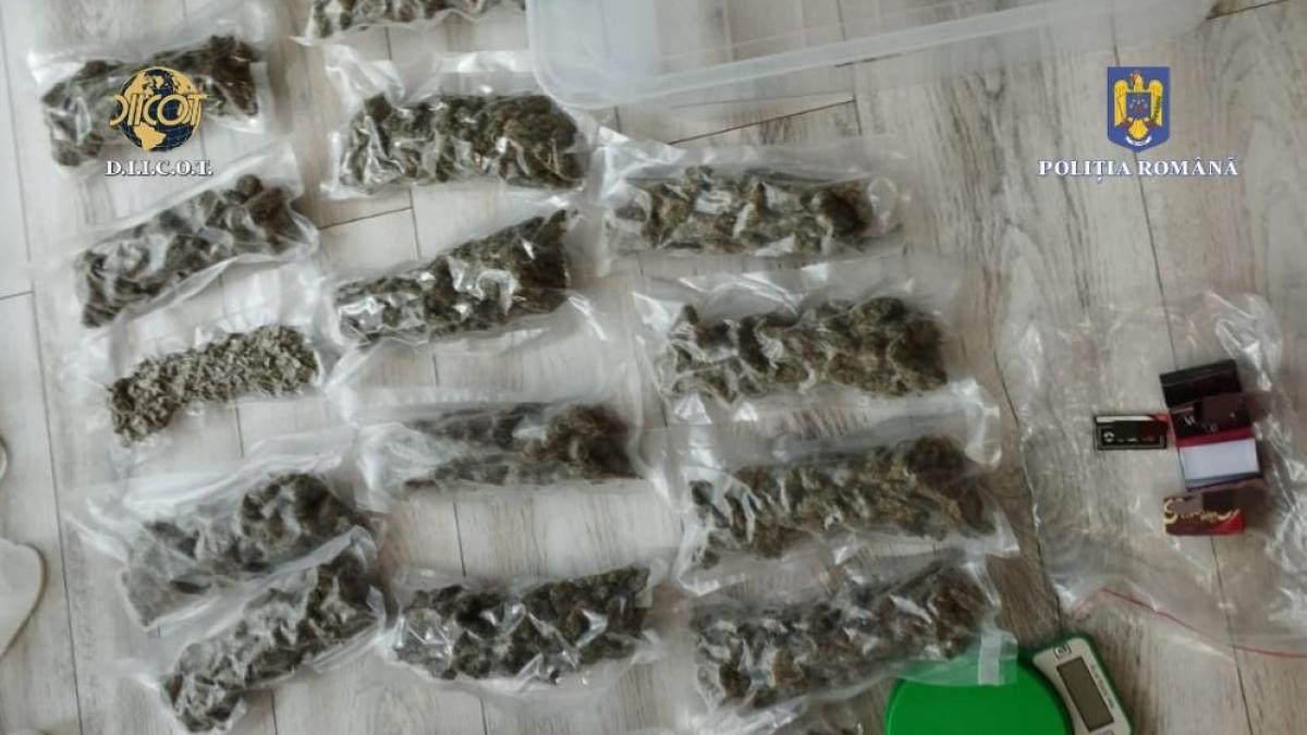 traficanti-de-droguri-din-vaslui-si-iasi--retinuti-de-diicot--mai-multe-kilograme-de-canabis-si-cocaina--confiscat