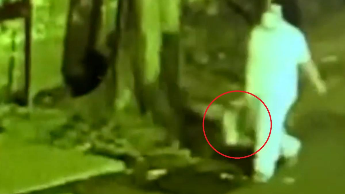 bebelus-rapit-spania-bilbao