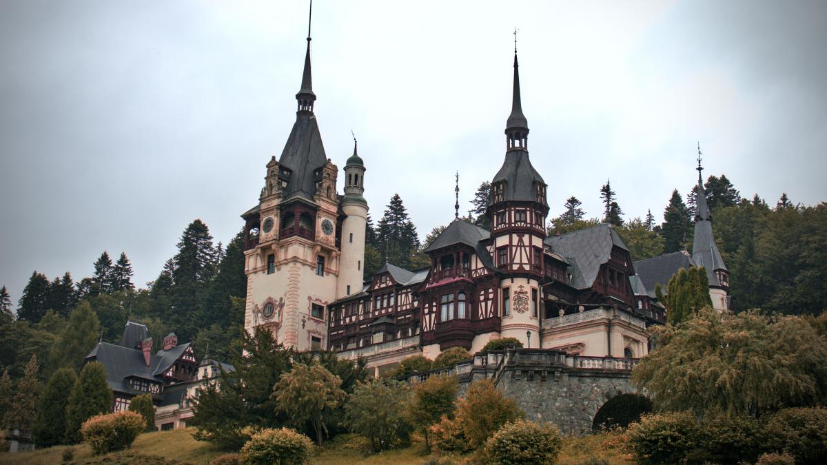 adrian-mag-2ro8dr9q8e8-unsplash