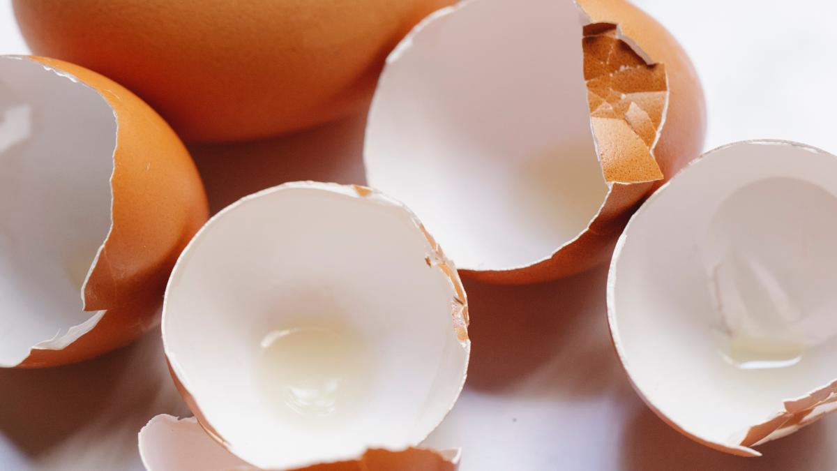 nu-este-magie-super-trucuri-cu-cojile-de-ou-care-valoreaza-aur--dati-o-viata-noua-acestor-deseuri--aici-sunt-secretele