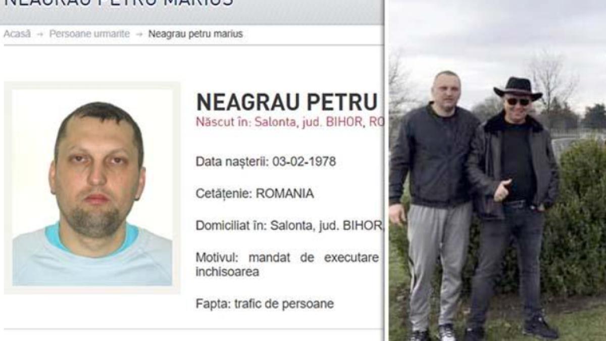 interlop-petru-mariu-neagrau-vox-salonta