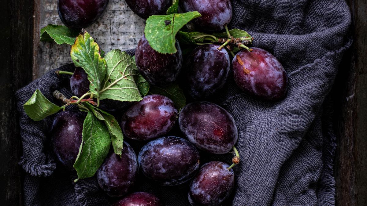 monika-grabkowska-dz3tgztqipe-unsplash