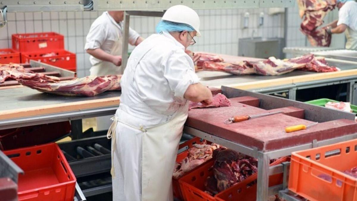 romani_abator_germania