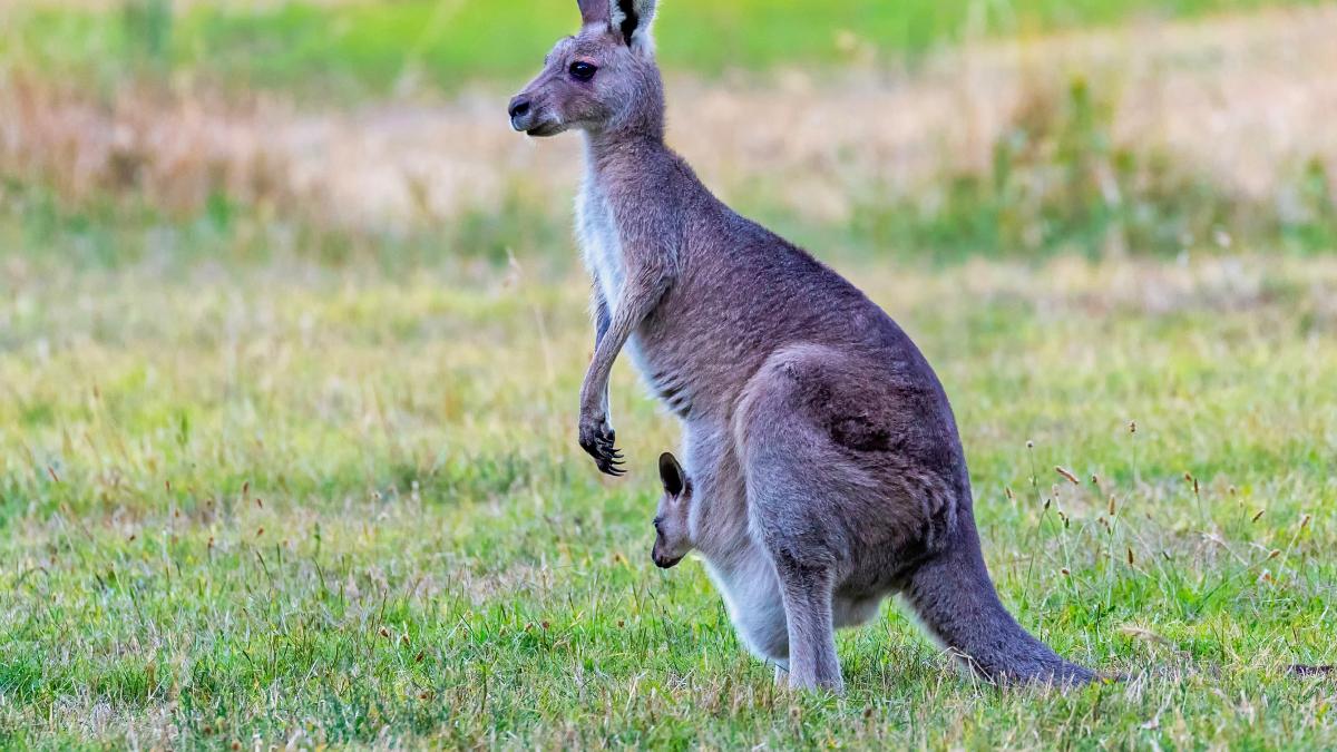 john-torcasio-2f33ykzzpcu-unsplash