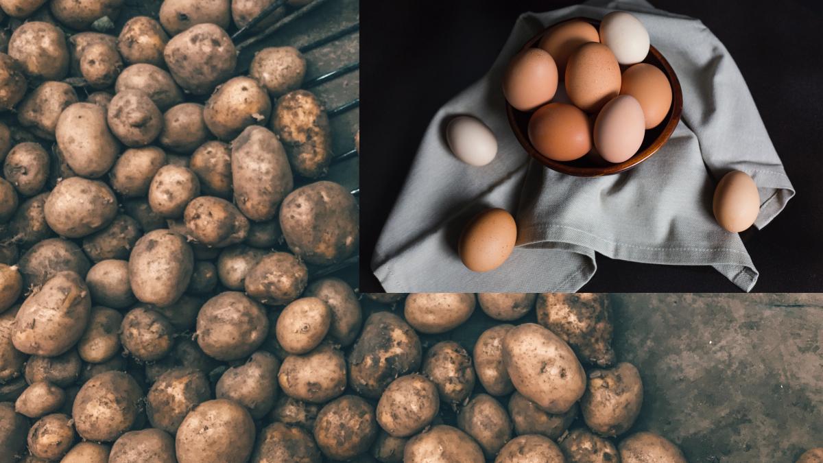 jan-antonin-kolar-ynp2p8baflo-unsplash