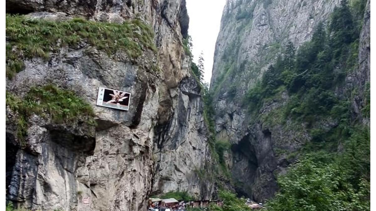 cheile-bicazului-peisaj-judetul-neamt