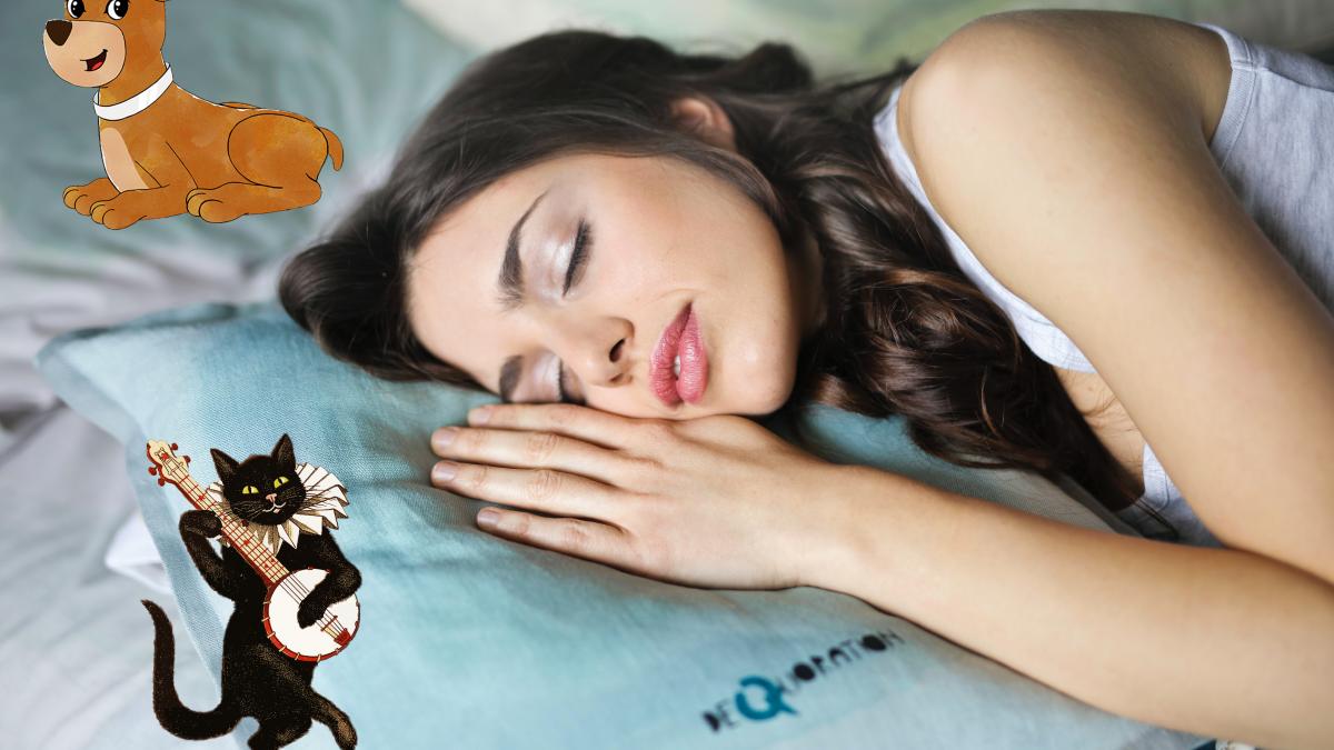 bruce-mars-s8ptwcu5maq-unsplash