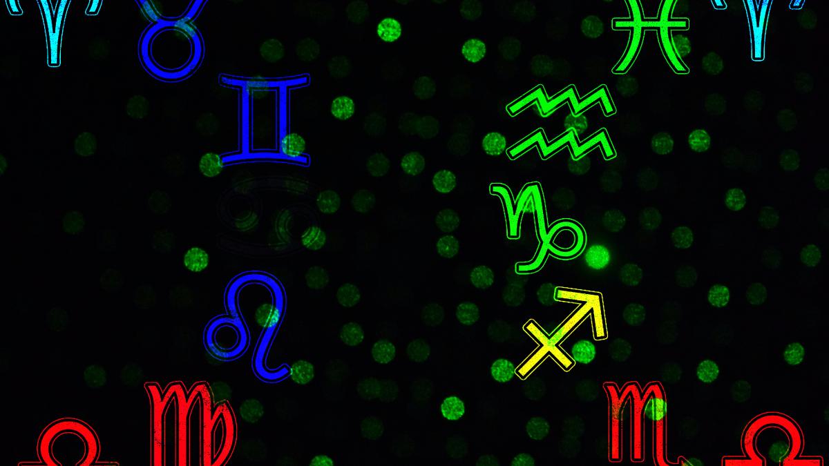 amin-moshrefi-nckccabrrby-unsplash