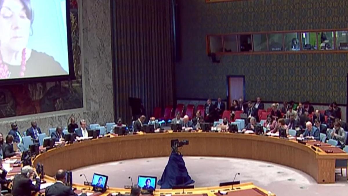 de-ce-a-facut-rusia-presiuni-ca-romania-sa-nu-ia-cuvantul-in-consiliul-de-securitate-onu-sunt-prea-multi-vorbitori