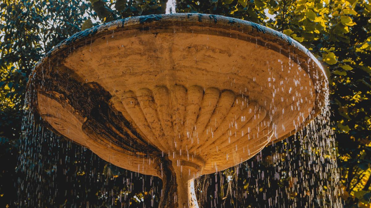 claudio-carrozzo-1gevptv0eny-unsplash