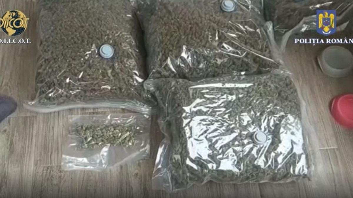 doi-romani--retinuti-pentru-trafic-de-droguri--politistii-au-confiscate-28-kg-de-canabis-si-500-grame-de-cocaina