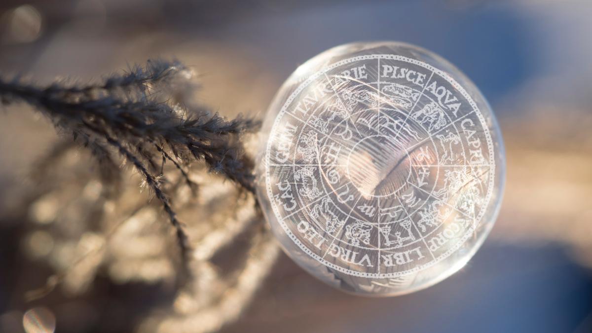 aaron-burden-but3aiolbx8-unsplash