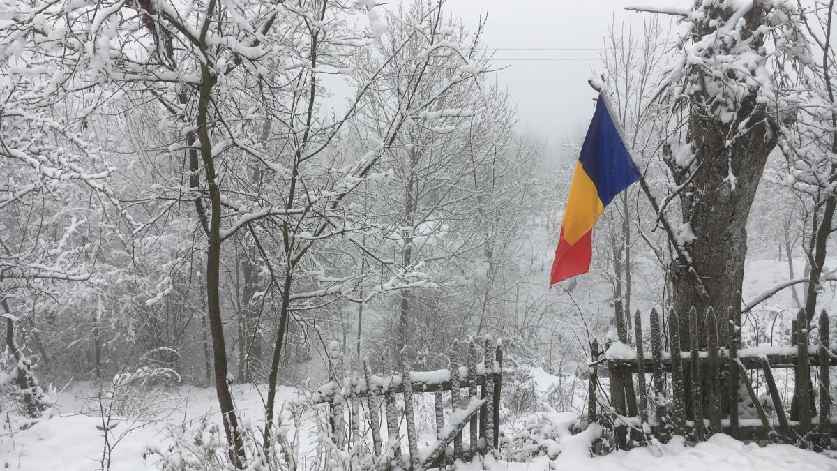 romania-mutat-la-tara