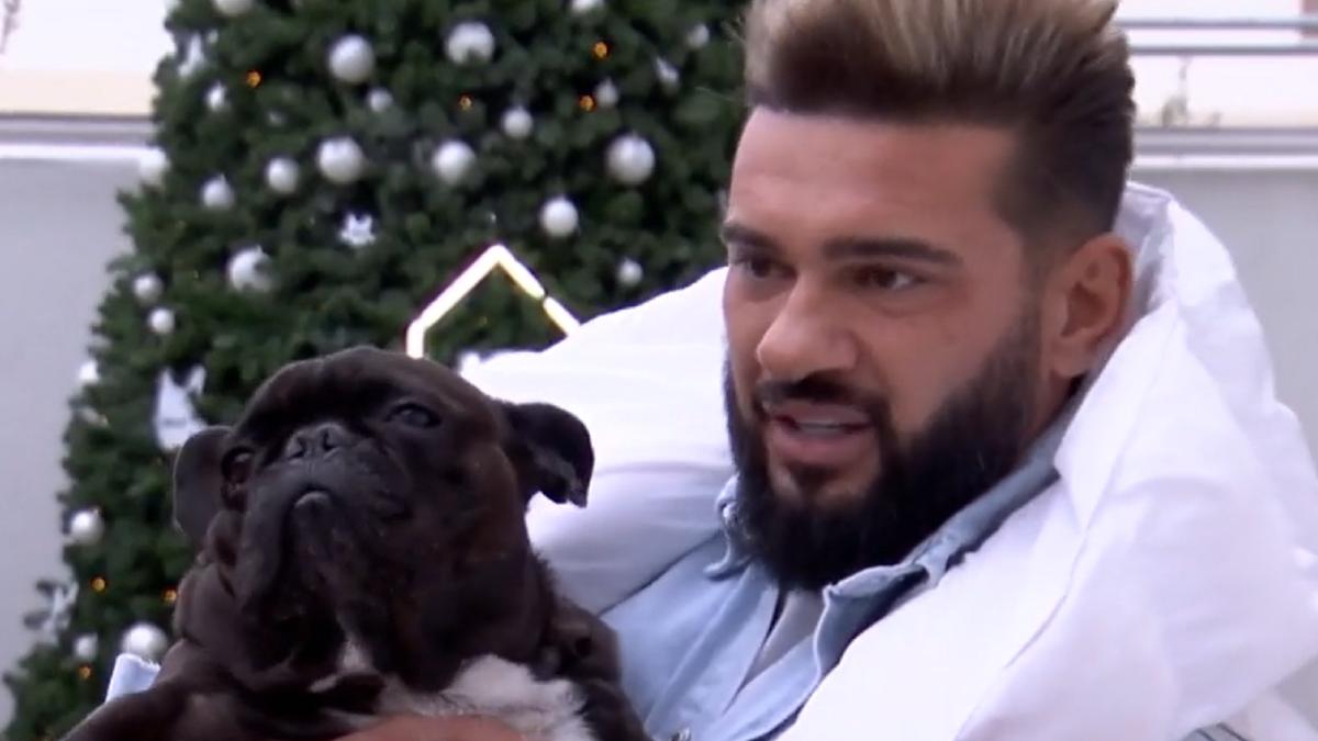 dorian-popa--revoltat-dupa-ce-nu-a-fost-primit-cu-chelutu-intr-un-restaurant-de-fiecare-data-cand-am-mers-prin-europa--animalutele-sunt-acceptate