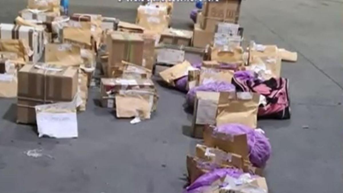 capturi-record-ale-politistilor-romani--aproape-4-5-tone-de-droguri-confiscate--distruse-intr-o-zi