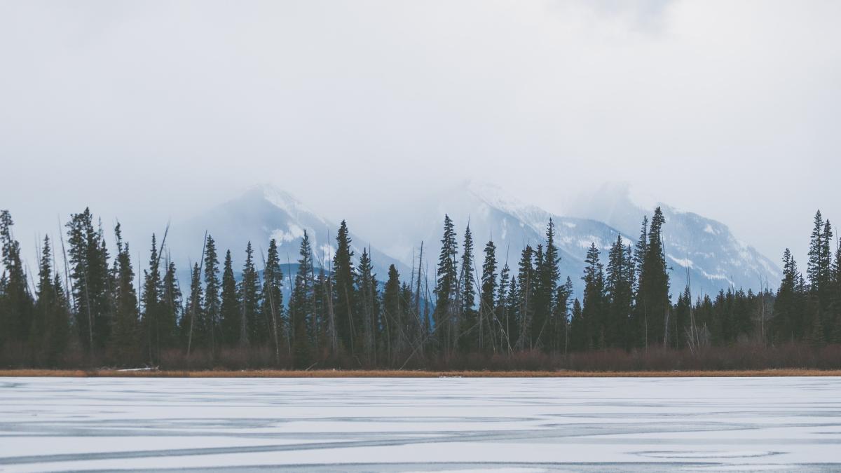 priscilla-du-preez-3h0fhhhefsa-unsplash