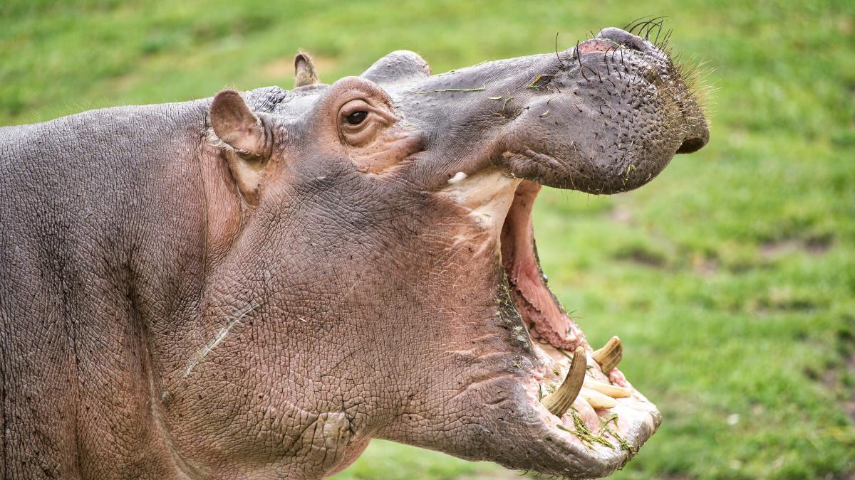 stefan-steinbauer-1o1hll-v7hc-unsplash