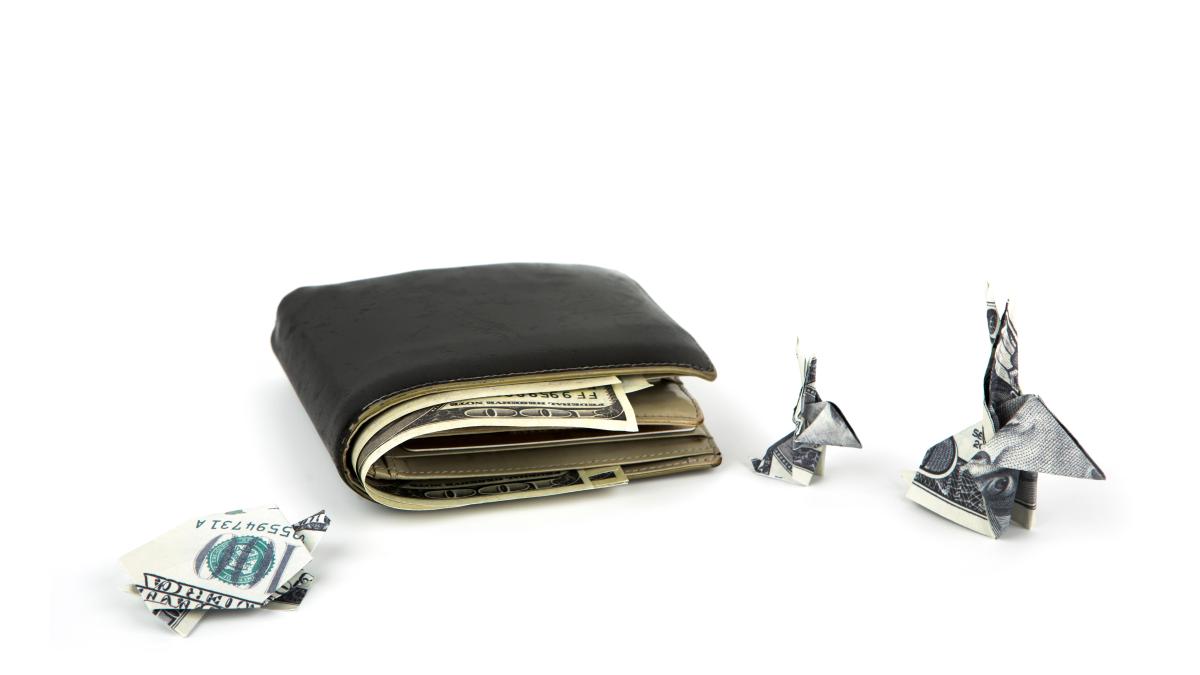 2023--anul-iepurelui-de-apa--avertismentul-astrologilor-pentru-doua-dintre-zodii-paziti-va-banii