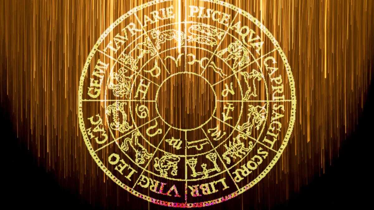 rene-bohmer-yeuvdkzwsz4-unsplash