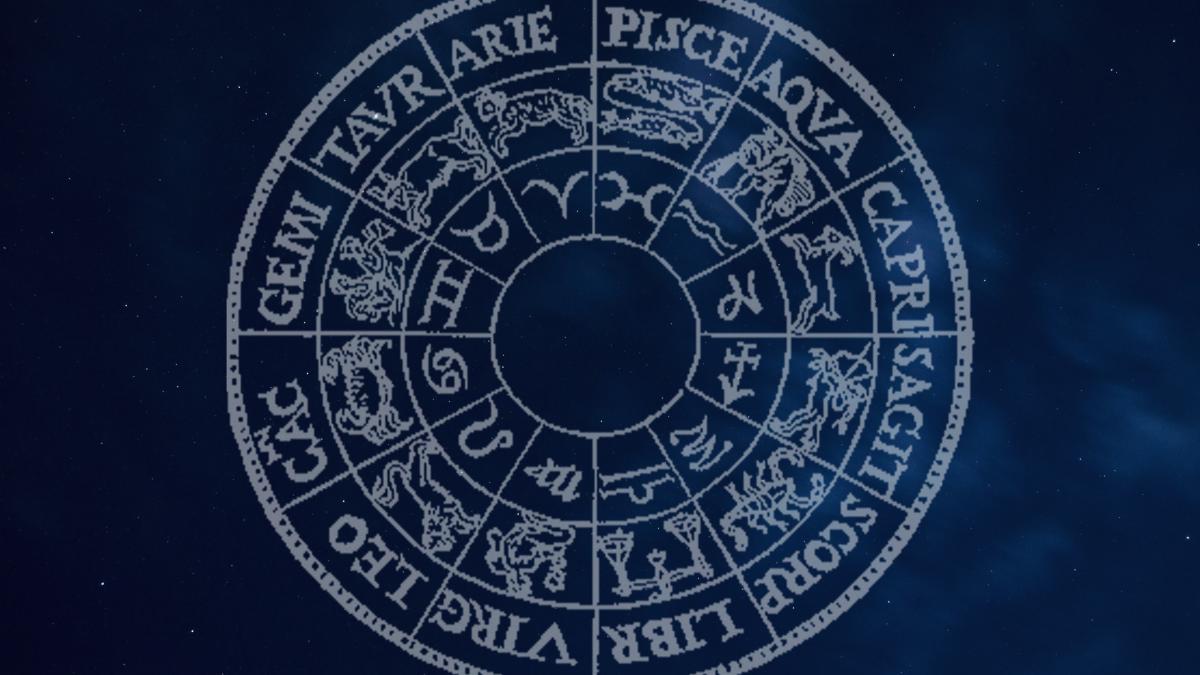 adelin-preda--tor_t4qtpq-unsplash