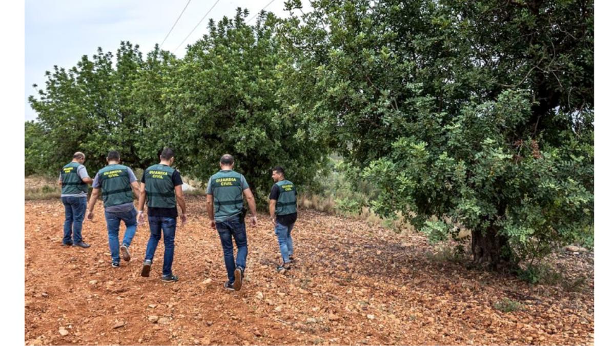 operatiunea-karabu--in-spania--17-romani-si-spanioli--prinsi-intr-o-retea-ilegala-de-roscove-cum-au-castigat-70-000-euro--1