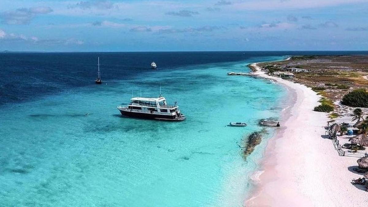 321017639_1379317146140048_6171026102216778391_n