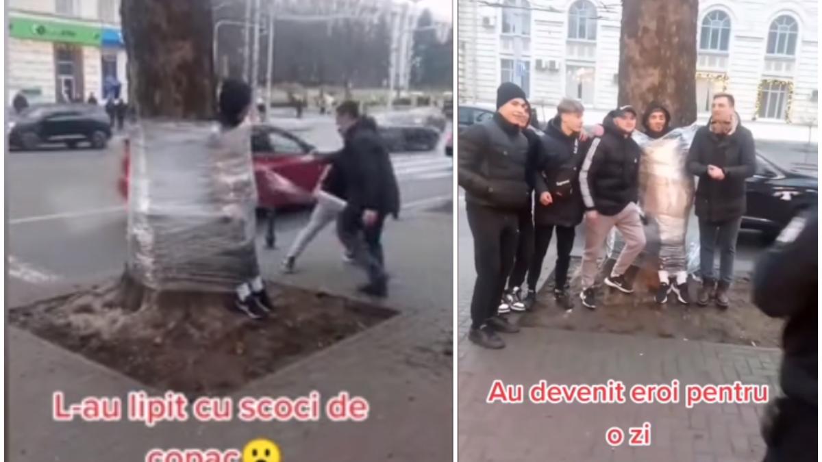 tineri-au-lipit-un-baiat-de-un-copac