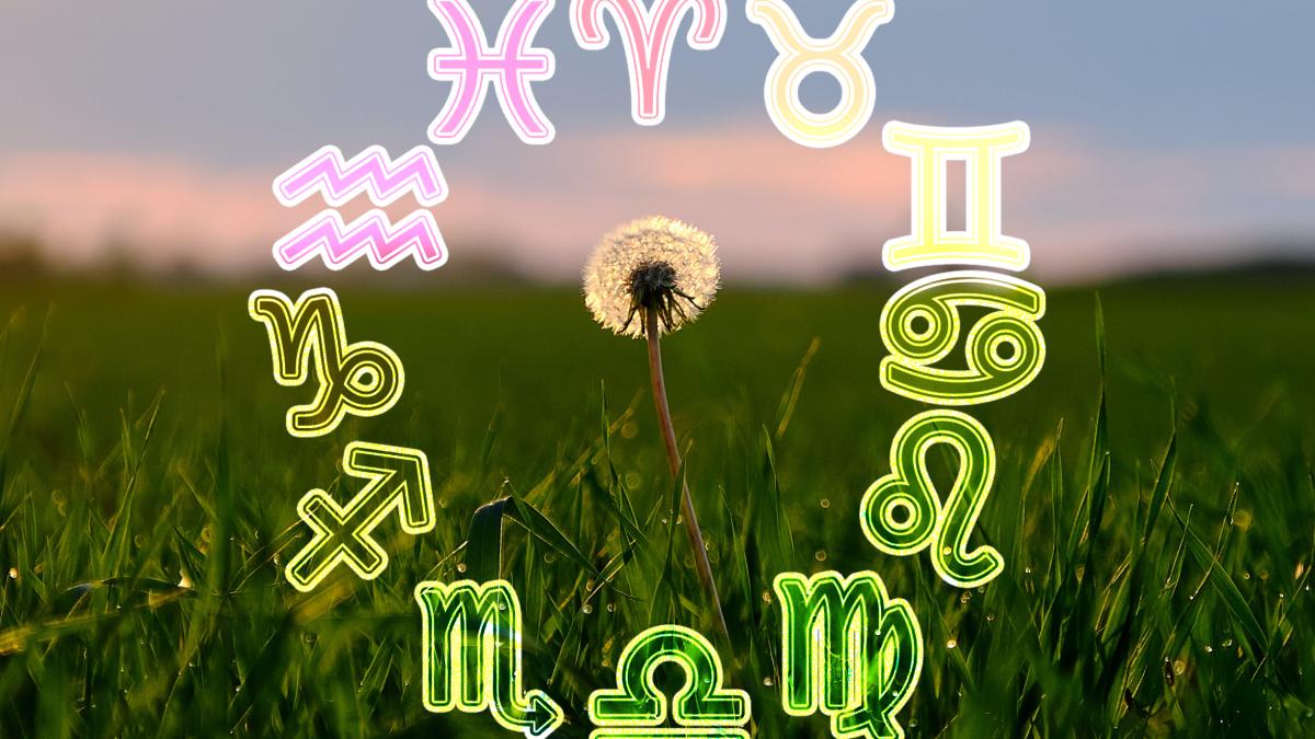 igor-skabelin-c03qrvhfc4g-unsplash