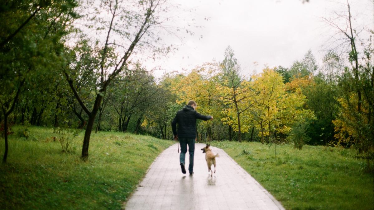 jusfilm-z-m1skvktgm-unsplash