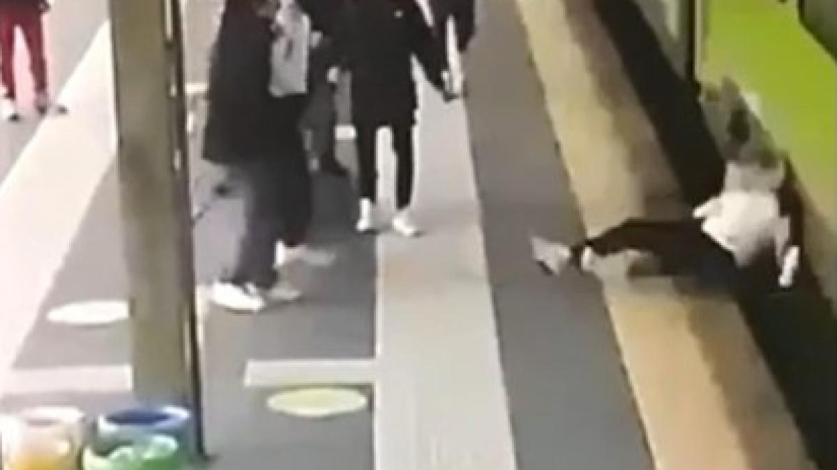 roman-imins-sub-tren-italia