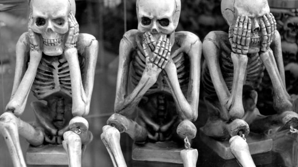 schelet_oase_74321000