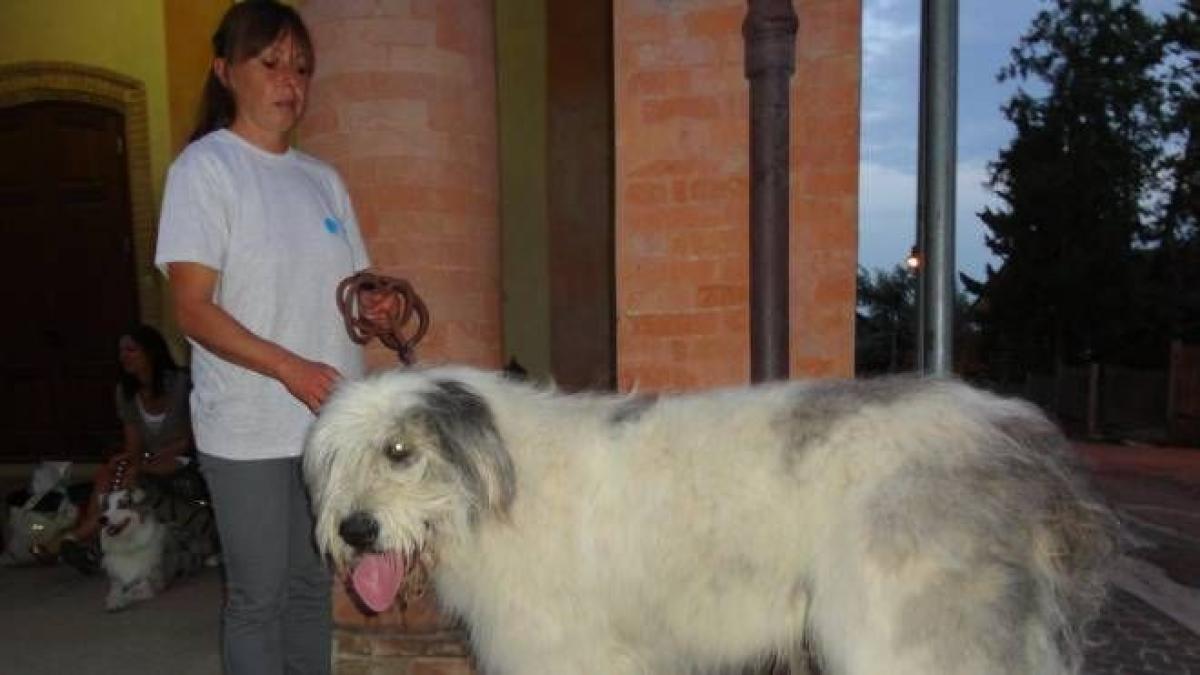 romanca-cristiana-moarta-italia