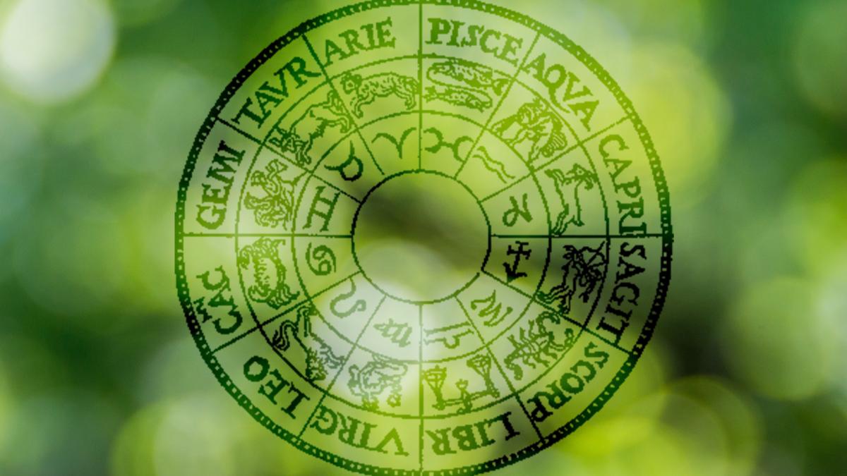 artur-luczka-loafovk1enc-unsplash