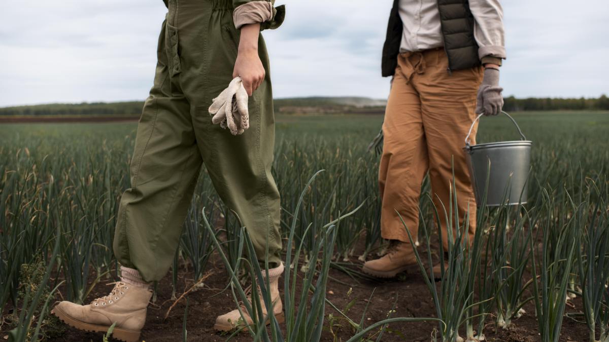 abuz-continuu--familie-de-romani--condamnata-la-peste-jumatate-de-secol-de-inchisoare-pentru-exploatarea-conationalilor--in-spania-1