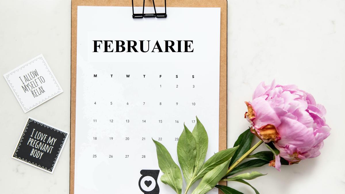 emiliana-hall-8rpajt3egf8-unsplash