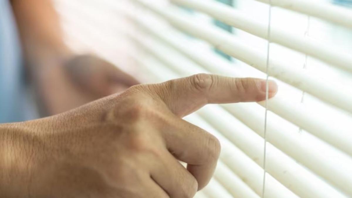 jaluzelele-sunt-pline-de-praf--curata-le-rapid-si-usor--cu-produsele-din-camara