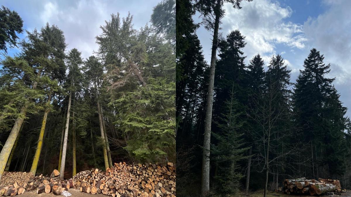 cdce988e-fc6d-4e19-a30e-0ff45ee7004f