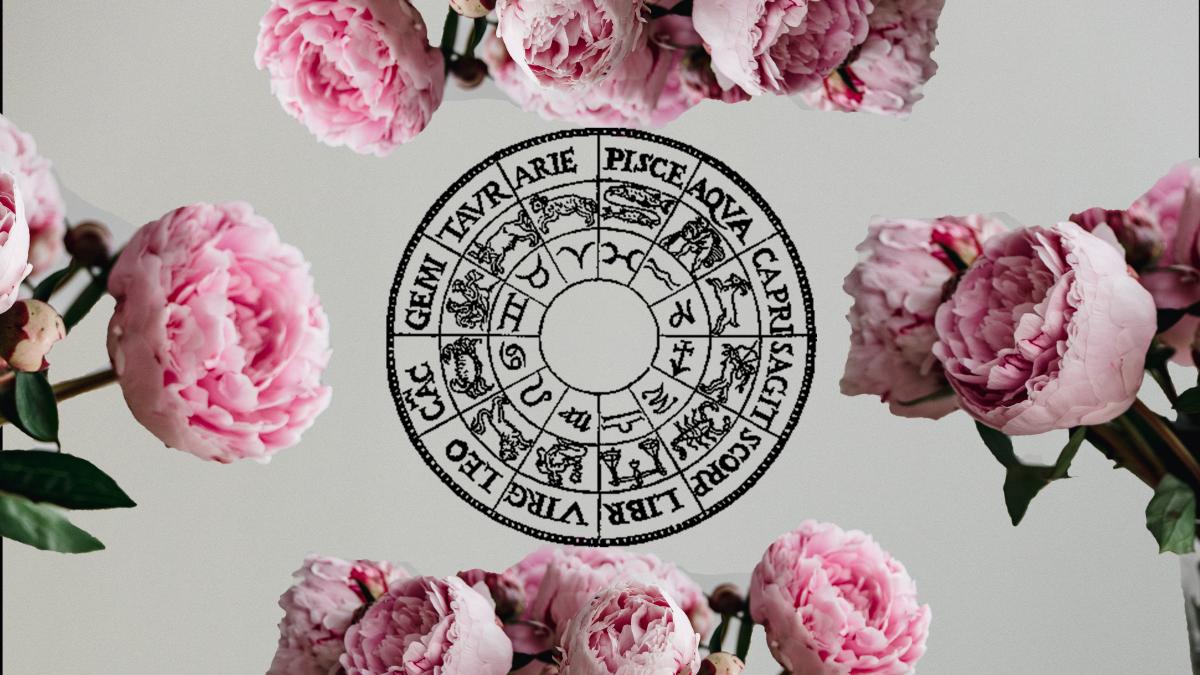 patrick-langwallner-ti4m507rac0-unsplash