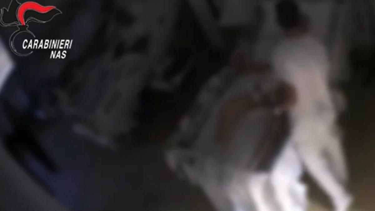 azilul-ororilor-din-italia-ingrijitori-acuzati-ca-maltratau--jigneau--umileau