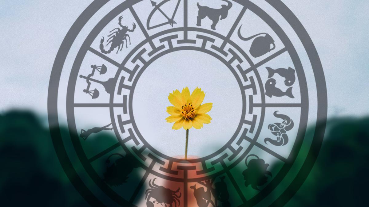 kawin-harasai-2ev2aub8nji-unsplash